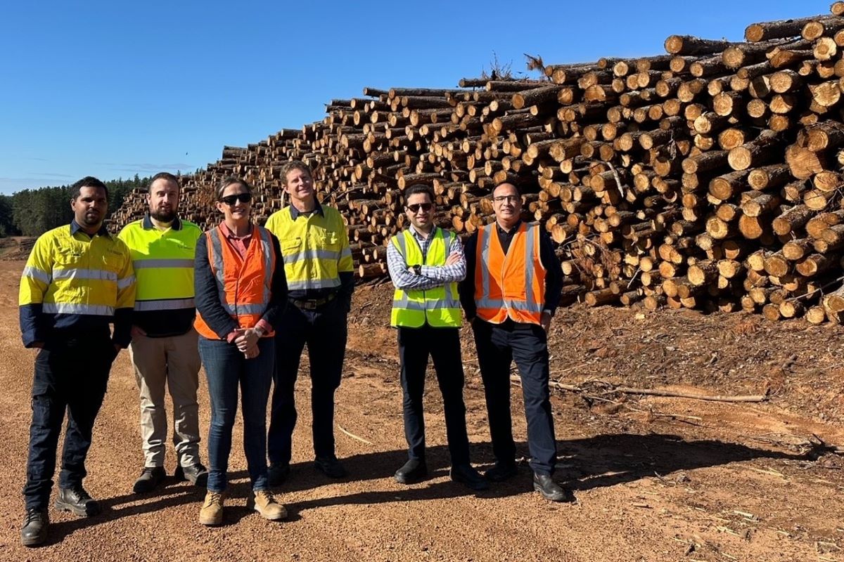 Opportunities for bioenergy in Australian heavy industry